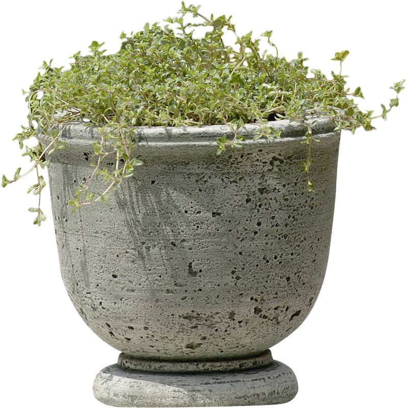 Campania International, Inc Garden Terrace Cast Stone Pot Planter